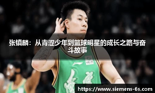 美嘉体育官网