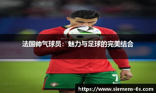 美嘉体育平台