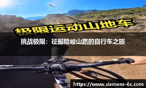 美嘉体育平台